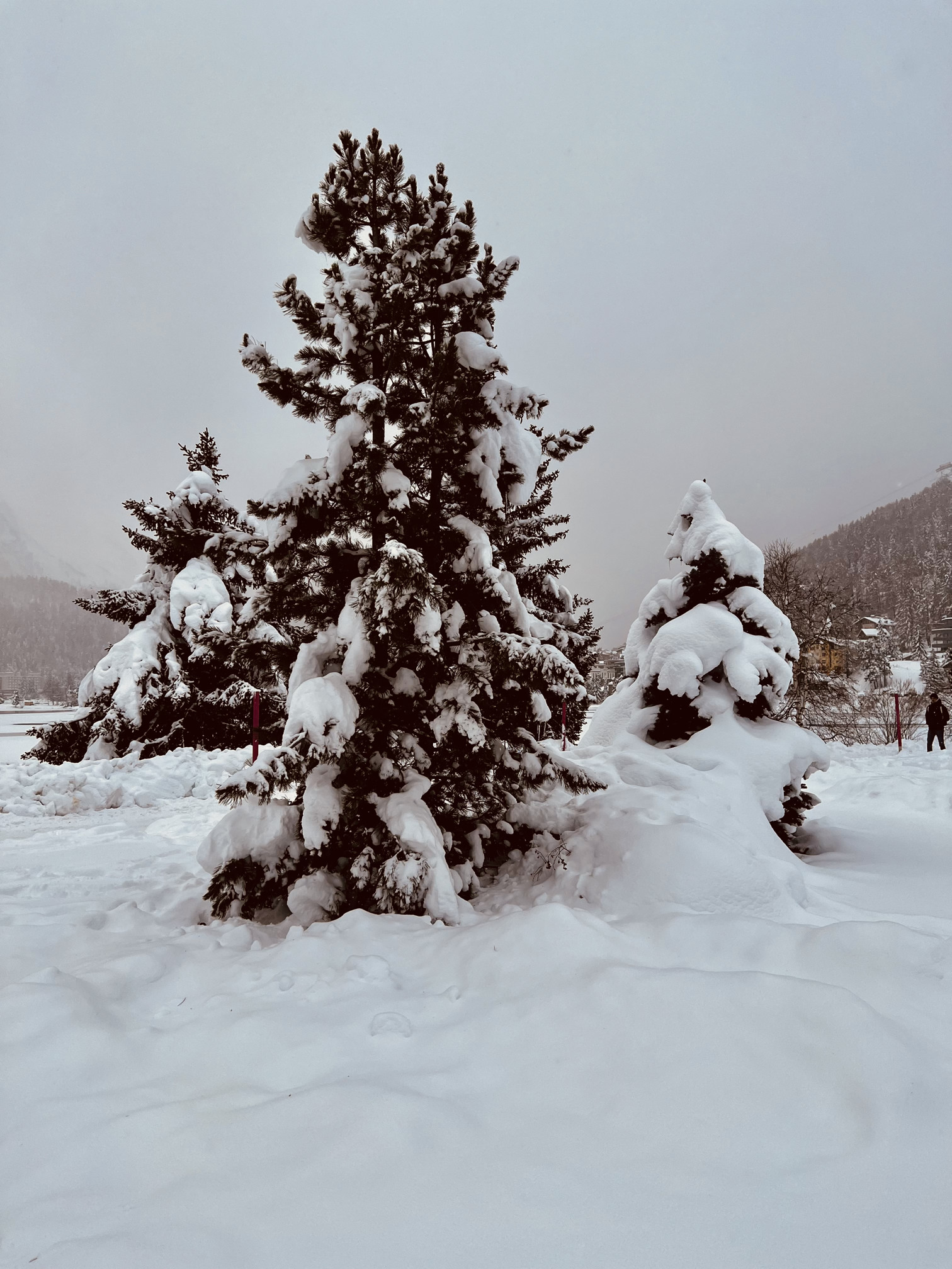 SANKT MORITZ